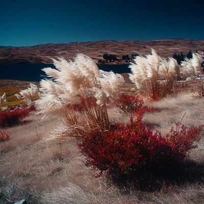 Serene Pampas Landscape 1 | Mattia Del Giudice